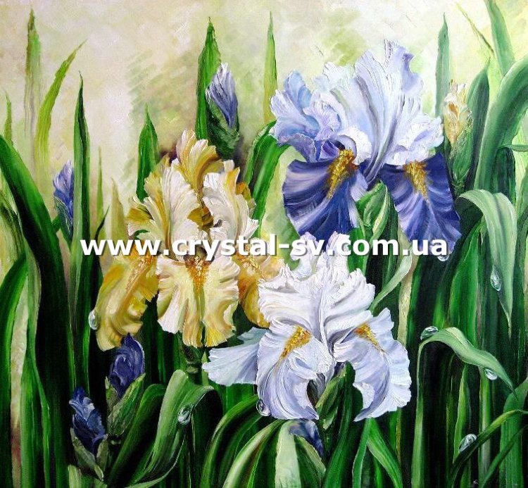 Набор алмазная мозаика стразами Живопись Ирисы Цветы (40х40) — CRYSTAL SHOP