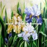 Набор алмазная мозаика стразами Живопись Ирисы Цветы (40х40) фото 1 — CRYSTAL SHOP