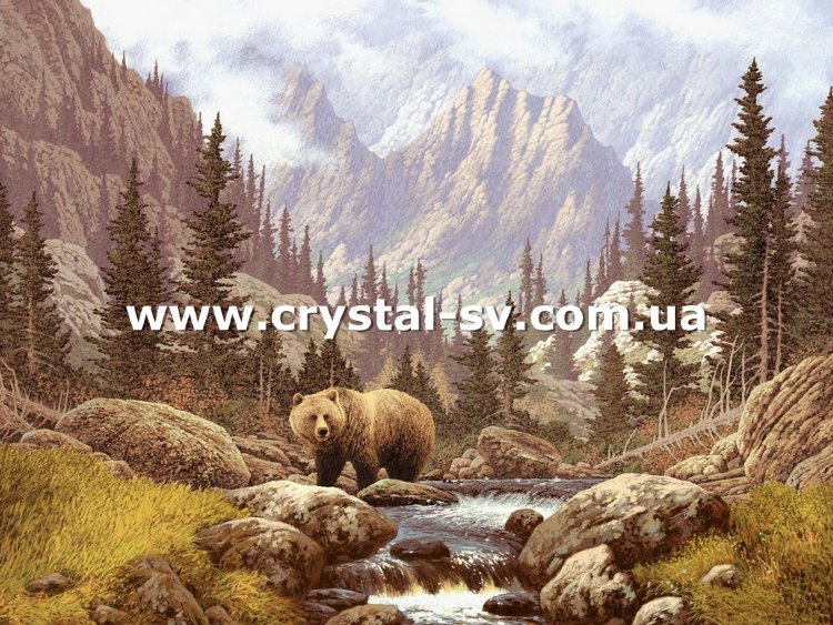 Набор алмазная живопись Медведь гризли в горах (40х50) — CRYSTAL SHOP