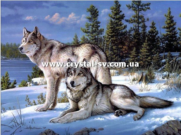 Набор рисование камнями по номерам Волк и волчица — CRYSTAL SHOP