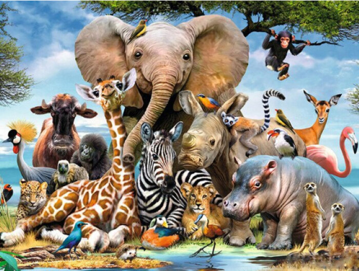 Набор рисование камнями по номерам Селфи тропических животных (70х50 см) — CRYSTAL SHOP