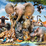 Набор рисование камнями по номерам Селфи тропических животных (70х50 см) фото 1 — CRYSTAL SHOP