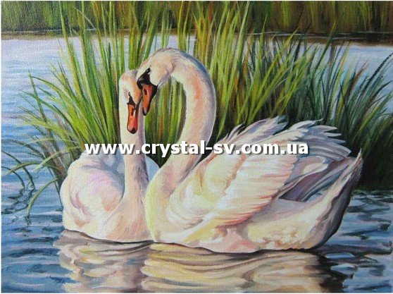 Набор картина из страз Лебединая верность (40х50) — CRYSTAL SHOP