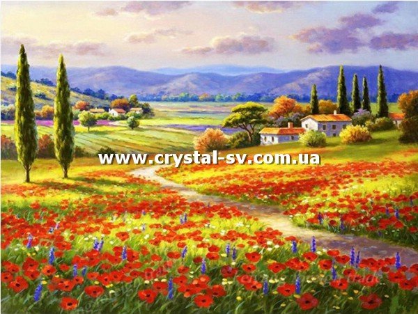 Набор алмазная техника Маковое поле (40х50) — CRYSTAL SHOP