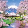 Набор алмазная техника Японская вишня (40х60) фото 1 — CRYSTAL SHOP