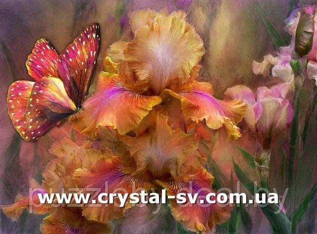Набор алмазная мозаика стразами Живопись Бабочка Ирис (40х50) — CRYSTAL SHOP