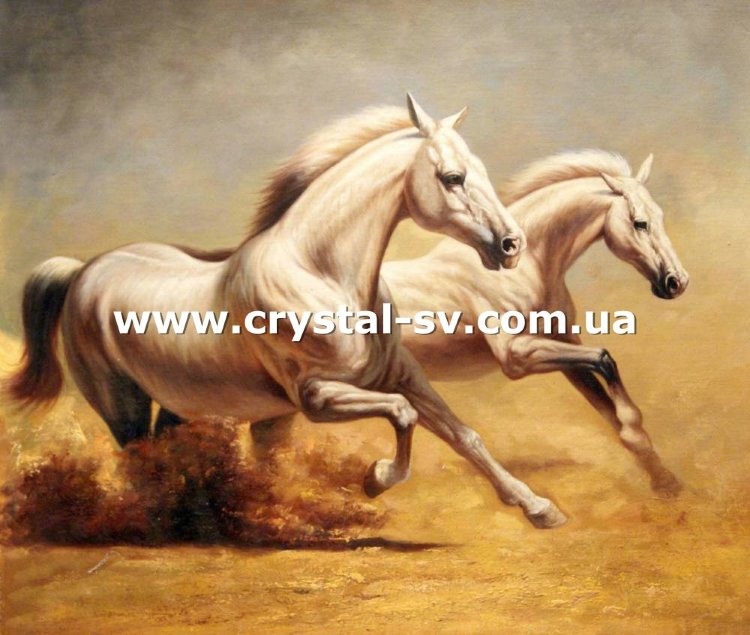 Набор вышивка камнями по номерам Белые лошади (40х50) — CRYSTAL SHOP