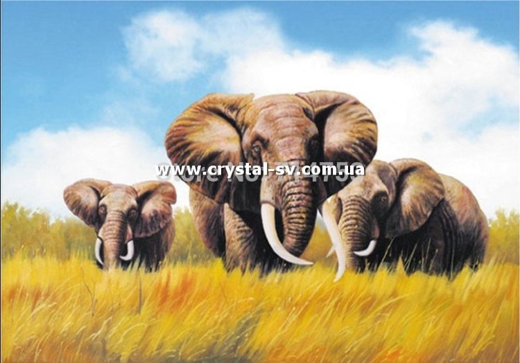 Набор вышивка камнями по номерам Три слона (35х50) — CRYSTAL SHOP