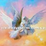 Набор картина из страз Белые голуби живопись (40х50) фото 1 — CRYSTAL SHOP