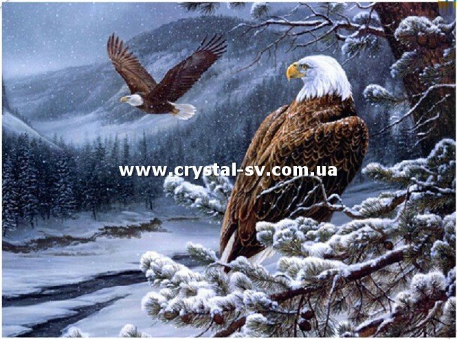 Набор картина из стразиков Орлы (40х50) — CRYSTAL SHOP