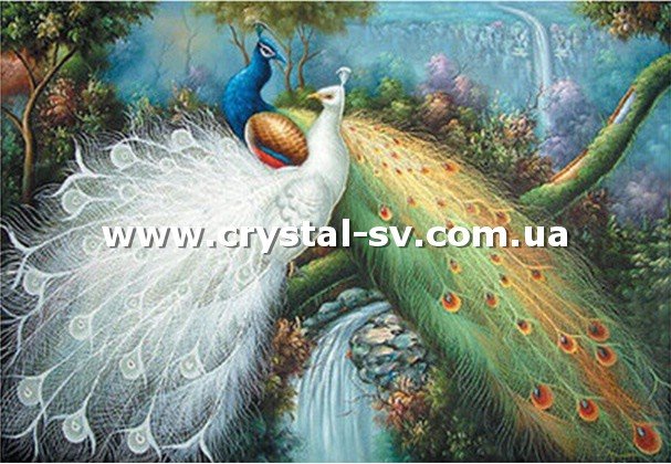 Набор картина из алмазиков Павлины пара (40x60) — CRYSTAL SHOP