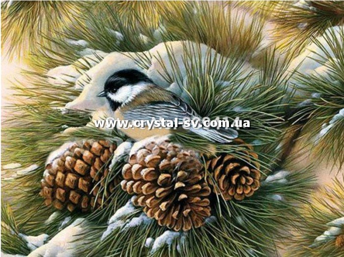 Набор картина из стразиков Сосновая ветка с шишками (30х40) — CRYSTAL SHOP