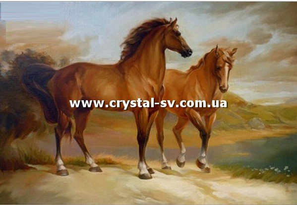 Набор вышивка камнями по номерам Лошади (40х60) — CRYSTAL SHOP