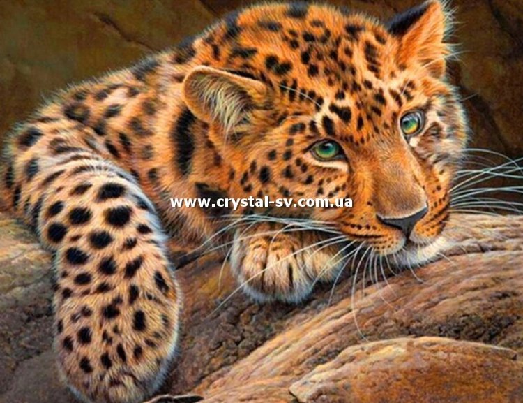 Набор рисование камнями по номерам Леопард (30х38) — CRYSTAL SHOP