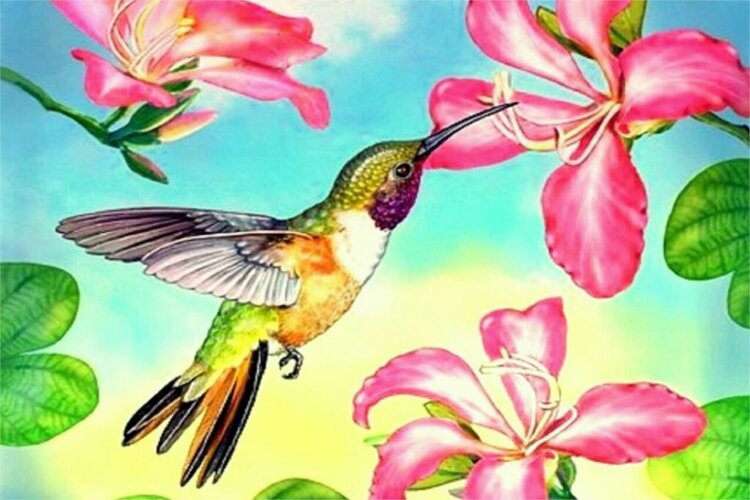 Набор картина из стразиков Колибри в цветах (30x45) — CRYSTAL SHOP
