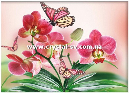 Набор алмазная мозаика стразами Цветок Орхидея и бабочка (40х50) — CRYSTAL SHOP