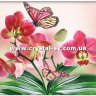 Набор алмазная мозаика стразами Цветок Орхидея и бабочка (40х50) фото 1 — CRYSTAL SHOP