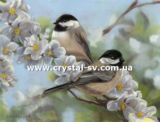 Набор картина из стразиков Весенние птицы (40x53) — CRYSTAL SHOP