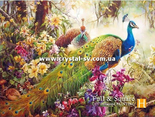Набор картина из алмазиков Индийский павлин (40х53) — CRYSTAL SHOP