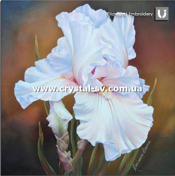 Набор алмазная мозаика стразами Белый ирис (30х30) — CRYSTAL SHOP