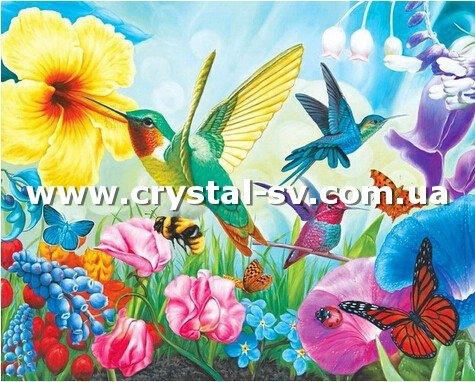 Набор картина из стразиков Птицы колибри и цветы (40x50) — CRYSTAL SHOP