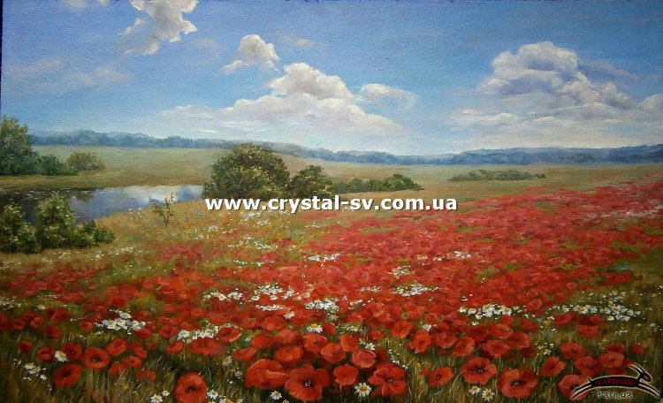Набор алмазная техника Поле маков (40х60) — CRYSTAL SHOP