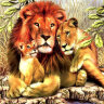 Набор рисование камнями по номерам Счастливая семья львов (40х50 см) фото 1 — CRYSTAL SHOP