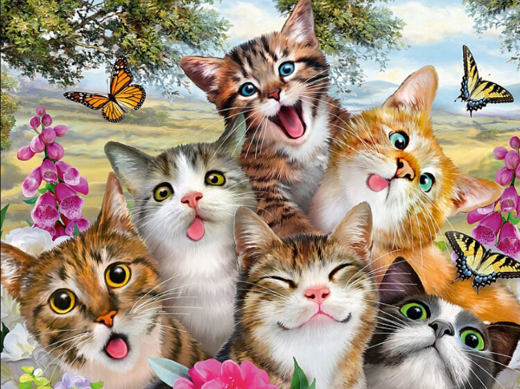 Набор рисование камнями по номерам Селфи забавных котов — CRYSTAL SHOP