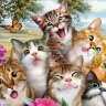 Набор рисование камнями по номерам Селфи забавных котов фото 1 — CRYSTAL SHOP
