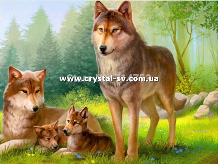 Набор рисование камнями по номерам Семья волков — CRYSTAL SHOP
