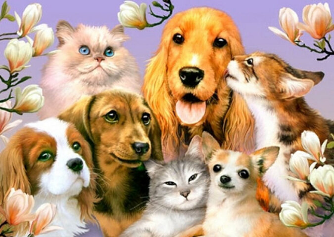 Набор рисование камнями по номерам Селфи забавных собак и котов — CRYSTAL SHOP