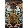 Чехол для Apple iPhone 5/5s стразы Fashion Rhinestone Bling Diamond TIGER фото 1 — CRYSTAL SHOP
