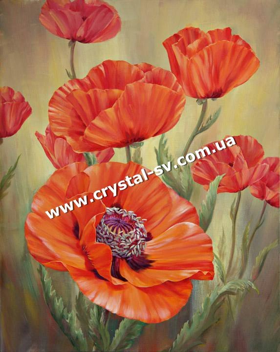 Набор алмазная мозаика стразами Маки (40х30) — CRYSTAL SHOP