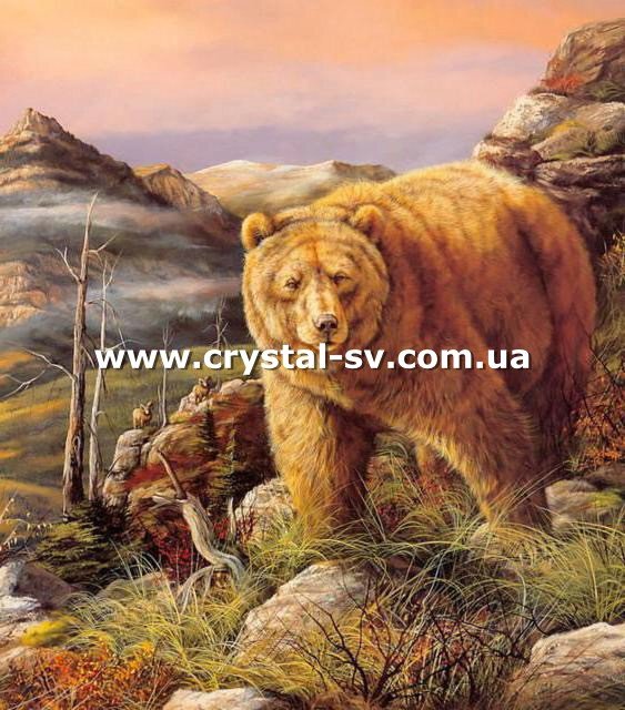 Набор вышивка камнями по номерам Медведь (50х40) — CRYSTAL SHOP